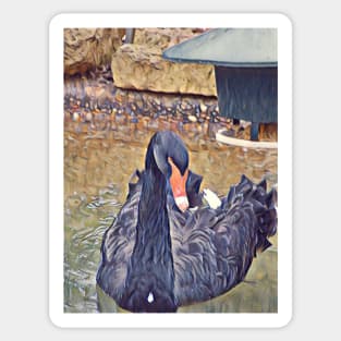 Black Swan Sticker